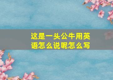 这是一头公牛用英语怎么说呢怎么写