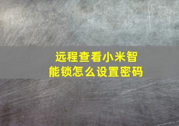 远程查看小米智能锁怎么设置密码