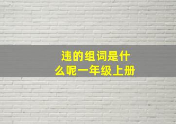 违的组词是什么呢一年级上册