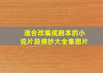 适合改编成剧本的小说片段摘抄大全集图片