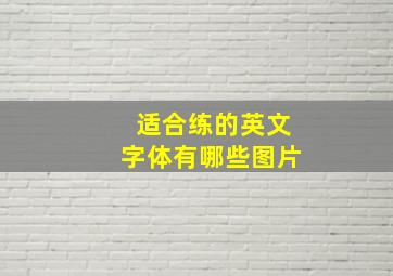 适合练的英文字体有哪些图片