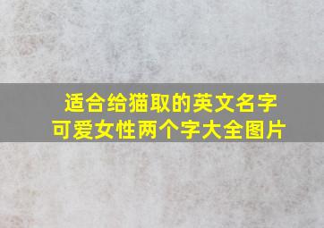 适合给猫取的英文名字可爱女性两个字大全图片