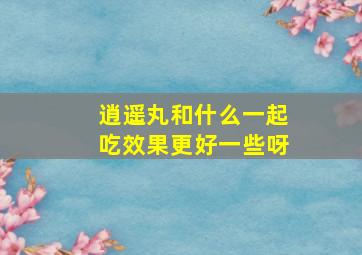 逍遥丸和什么一起吃效果更好一些呀