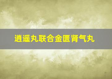 逍遥丸联合金匮肾气丸