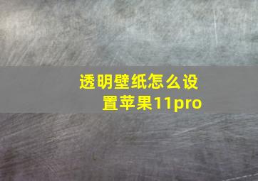 透明壁纸怎么设置苹果11pro