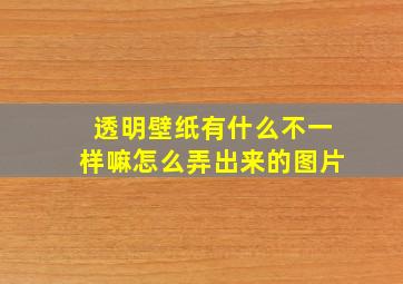 透明壁纸有什么不一样嘛怎么弄出来的图片