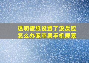 透明壁纸设置了没反应怎么办呢苹果手机屏幕