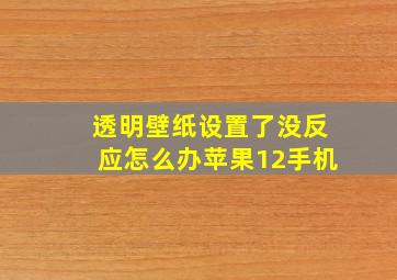 透明壁纸设置了没反应怎么办苹果12手机