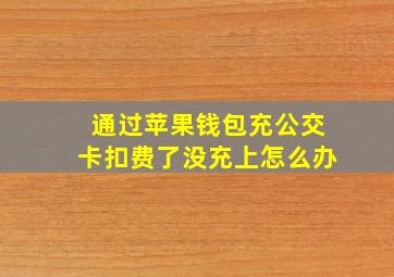 通过苹果钱包充公交卡扣费了没充上怎么办