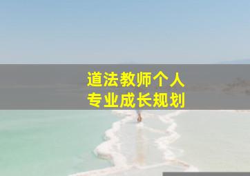 道法教师个人专业成长规划