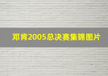 邓肯2005总决赛集锦图片