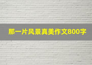 那一片风景真美作文800字