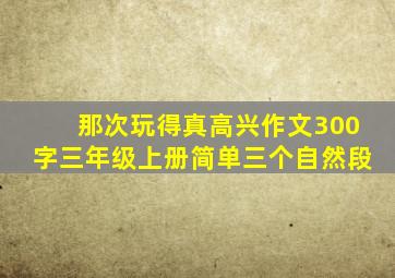 那次玩得真高兴作文300字三年级上册简单三个自然段