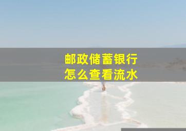 邮政储蓄银行怎么查看流水