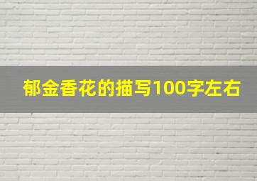 郁金香花的描写100字左右