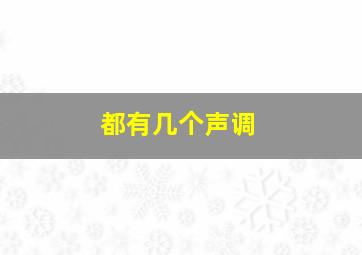 都有几个声调