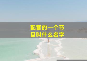 配音的一个节目叫什么名字