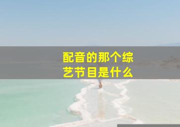 配音的那个综艺节目是什么