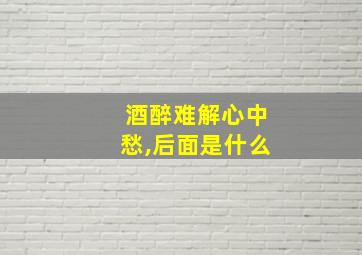 酒醉难解心中愁,后面是什么