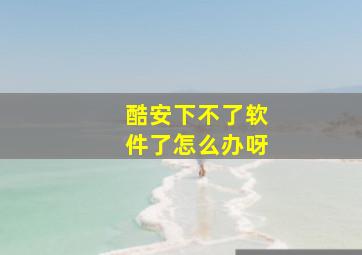 酷安下不了软件了怎么办呀