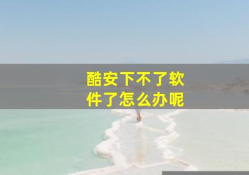 酷安下不了软件了怎么办呢