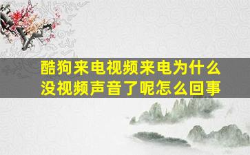 酷狗来电视频来电为什么没视频声音了呢怎么回事