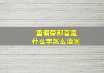 重偏旁部首是什么字怎么读啊