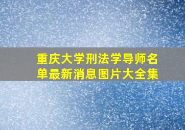 重庆大学刑法学导师名单最新消息图片大全集