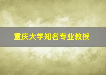 重庆大学知名专业教授