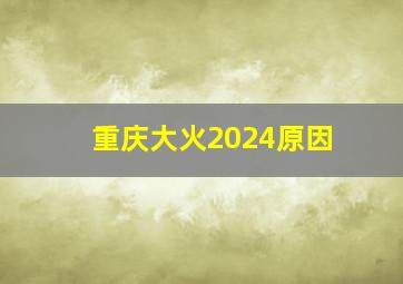 重庆大火2024原因