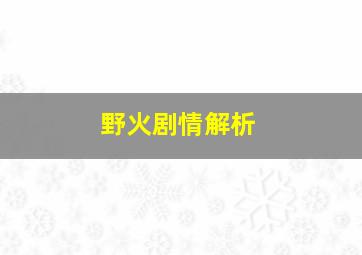 野火剧情解析