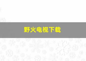 野火电视下载