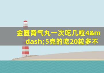 金匮肾气丸一次吃几粒4—5克的吃20粒多不