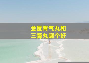 金匮肾气丸和三肾丸哪个好