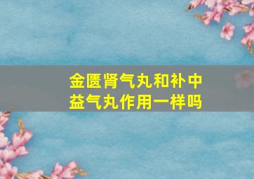 金匮肾气丸和补中益气丸作用一样吗