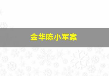 金华陈小军案