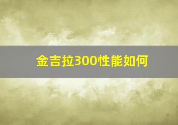 金吉拉300性能如何