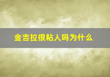 金吉拉很粘人吗为什么