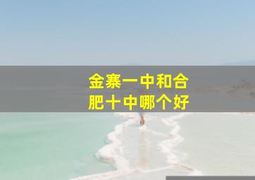 金寨一中和合肥十中哪个好