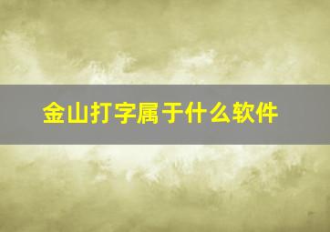 金山打字属于什么软件