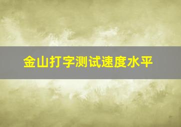 金山打字测试速度水平