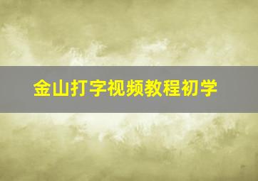 金山打字视频教程初学