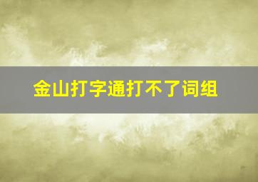 金山打字通打不了词组