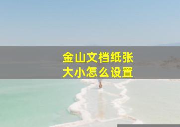 金山文档纸张大小怎么设置