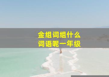 金组词组什么词语呢一年级