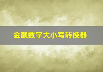 金额数字大小写转换器