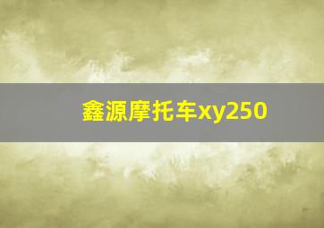 鑫源摩托车xy250