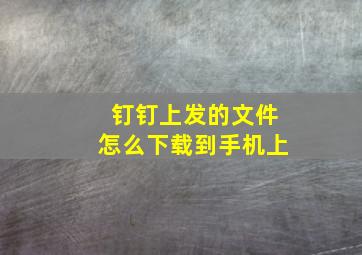 钉钉上发的文件怎么下载到手机上