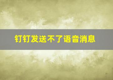 钉钉发送不了语音消息