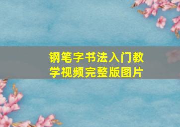 钢笔字书法入门教学视频完整版图片